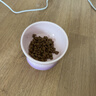 乐优派猫碗陶瓷狗碗宠物喂食碗高脚防打翻防黑下巴猫食盆狗盆渐变紫猫咪用品 实拍图