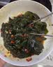 云山半盐渍海带苗200g头茬新鲜幼嫩苗海带芽丝结凉拌菜火锅食材海鲜干货 实拍图