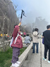 骆驼登山杖手杖轻便伸缩折叠徒步爬山拐棍老人防滑铝合金拐杖  薇紫色 实拍图
