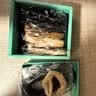 奇美拉（CHIMERA）10件套高弹耐用发圈套装简约丸子头高马尾头绳皮筋女发饰头饰 实拍图