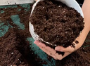 史丹利3L包装营养土园艺有机土通用型种花种菜养花专用泥炭土壤种植土 实拍图