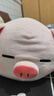 名创优品（MINISO）小猪B-BO弹力超柔趴姿公仔毛绒玩具玩偶抱枕靠枕娃娃生日礼物女 实拍图