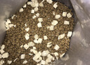 醇粹金标猫粮多拼冻干粮 全价鸡肉三文鱼增肥发腮金标升级版5kg 实拍图