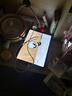 Apple/苹果 iPad11英寸 A16芯片2025年款 平板电脑 (256GB WLAN版/学习办公娱乐)粉色 实拍图