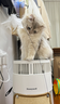 霍尼韦尔（Honeywell）宠物空气净化器吸猫毛除过敏源猫猫搭子 猫毛净化器杀菌消毒除异味KJ360F-C22W 实拍图