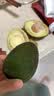 秘鲁进口哈斯牛油果 老树奶酪牛油果 新鲜孕妇水果宝宝辅食鳄梨 单果净重：190-210g 2粒尝鲜装 实拍图
