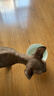 乐优派猫碗陶瓷狗碗猫食盆狗盆宠物碗猫粮碗高脚防打翻猫咪用品 渐变蓝 实拍图