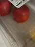 北蔬 番茄种子老品种毛粉沙瓤西红柿盆栽蔬菜种籽 粉果西红柿种子50粒 实拍图