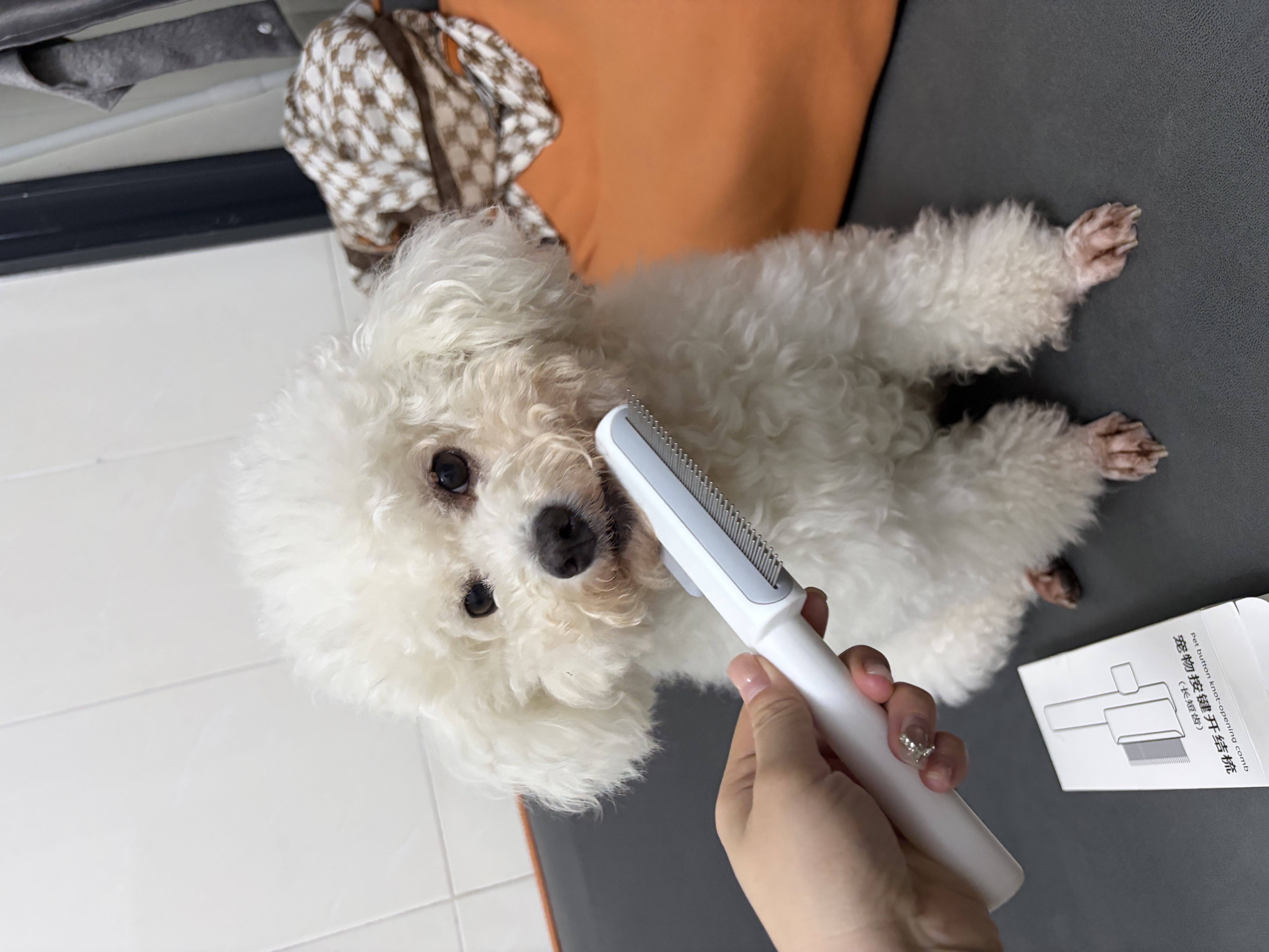 HELLOJOY猫梳子狗毛梳子宠物排梳密齿梳猫咪跳蚤梳直排狗狗专用钢梳去虱子 实拍图