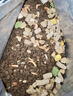 亿迪猫粮全价成猫幼猫冻干全阶段5斤布偶蓝猫英短橘猫通用小包装2.5kg 实拍图