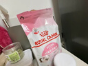皇家幼猫猫粮 幼猫奶糕 K36 通用粮 4-12月 2KG 实拍图