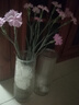 特大号玻璃花瓶桌面插花水养鲜花富贵竹高花瓶ins风客厅装饰摆件 【21高组合】锥桶水波+竖条 实拍图