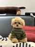 bledilait婴幼儿围嘴纯棉花瓣口水巾宝宝围脖饭兜四层新生儿童吸水围巾3条 实拍图