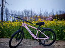JEEP吉普山地车自行车学生成人减震碟刹通勤变速越野青少年巡航者C800 RC750-辐条轮-珊瑚粉 26寸(建议身高156-180cm) 24速运动版 实拍图