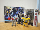 变形金刚（Transformers）工作室系列 卷土重来 霸天虎套装:威震天、堕落金刚、声波G1381 实拍图
