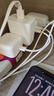 Apple/苹果 60W type-c充电线-1米 usb-c手机数据线 原装旗舰店苹果iphone17/16promax/ipad快充线 实拍图