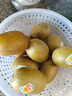 佳沛（zespri）新西兰阳光金果10个装单果重约103-114g 水果礼盒 猕猴桃 实拍图