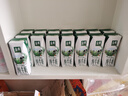 伊利【新鲜日期】金典纯牛奶早餐奶250ml*16 3.6g乳蛋白 礼盒装 3-4月 实拍图