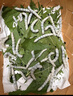 沃绣 蚕宝宝当天发货 活蚕宝宝蚕卵小蚕彩色蚕新鲜桑叶学生养蚕套装 2龄蚕宝宝50条+透气盒+桑叶 实拍图