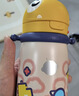 babycare儿童水杯6个月以上宝宝霸王龙不锈钢保温杯上学450ml-新旧款混发 实拍图