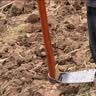 福利达种菜家用锄头挖地开荒锰钢农具农用工具种地老式镢头刨挖冬笋小条 实拍图