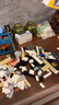 乐高（LEGO）积木31134 航天飞机男女孩儿童玩具母亲节520礼物家居装饰摆件 实拍图