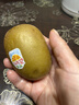 佳沛（zespri）新西兰阳光金奇异果10粒巨大果单果146-175g 猕猴桃水果礼盒 实拍图