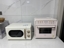 美的（Midea）多功能电烤箱家用空气炸锅一体机小型空气炸烤箱20L升级微蒸汽嫩烤/高效脱脂/循环热风免翻面P20 实拍图