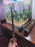 燕之雁 不锈钢水草剪弯剪款 25cm 鱼缸造景水草缸中景修剪工具 实拍图