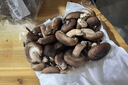 有机汇有机紫甘蓝 紫包菜卷心菜 沙拉轻食榨汁有机蔬菜 新鲜无农残 500g 实拍图