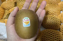 佳沛（zespri）新西兰阳光金奇异果巨大果15粒礼盒 单果146-175g 猕猴桃水果礼盒 实拍图