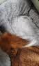 胖喵和汪达猫窝四季通用半封闭可清洗猫狗垫小中大型犬冬季保暖垫 实拍图