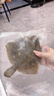 东上御品 山东 新鲜活冻多宝鱼海鲜水产多宝鱼300-400g*5条净重-源头直发 实拍图