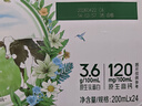 伊利【新鲜日期】金典纯牛奶整箱 200ml*24 3.6g乳蛋白礼盒装 3-4月 实拍图
