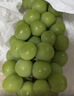 京鲜生 西双版纳阳光玫瑰青提 净重1.8-2.2斤 单果6g+ 葡萄提子源头直发 实拍图