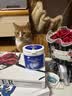 嬉皮狗宠物洁牙指套猫咪狗狗清洁牙齿除口臭宠物洗牙刷牙湿巾 50枚 实拍图