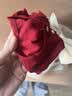 心楠女童衣服夏季秋薄款女宝宝一周岁礼服中式百天蓬蓬裙公主裙满月服 红色蝴蝶裙纱裙 80 码 实拍图