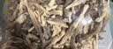 方家铺子中华老字号鹿茸菇250g鹿茸菌菇炒菜煲汤火锅干货 实拍图