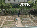 三枪秋衣秋裤男士纯棉薄款圆领打底棉毛衫裤无侧缝抗静电保暖内衣套装 实拍图