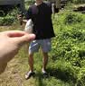 哈斯达（HISTAR）蝴蝶二代套装高碳UL路亚竿fuji导环超软微物小鱼专攻钓鱼竿套装 1.8m 蝴蝶二代水滴轮套装左手型 【下单送礼包到手即钓】 实拍图