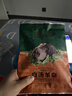 东来顺内蒙羊杂200g清真羊杂碎开袋加热即食北京品牌特产中华老字号 实拍图