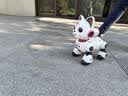 索迪六一礼物AI智能机器人遥控汽车机器狗猫婴幼儿童宝宝玩具女孩生日 实拍图