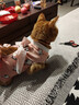 ycqpet猫咪绝育服小猫母猫透气手术服断奶薄款防掉毛术后防舔衣服S 实拍图