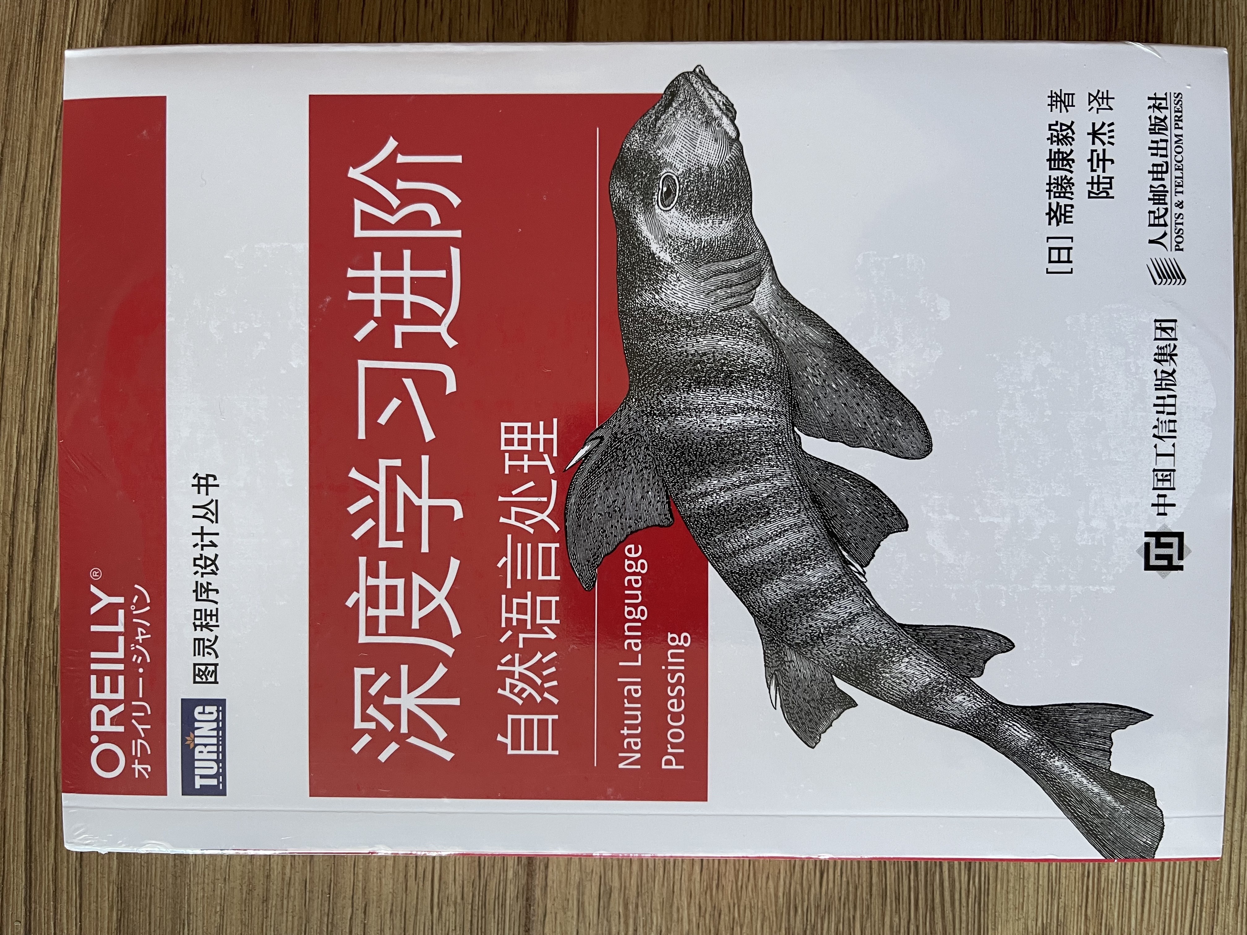 深度学习入门全套：Python理论+框架+NLP+强化学习 京东套装4册（图灵出品） deepseek教程 实拍图