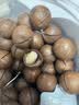 三只松鼠大颗粒夏威夷果500g罐装 坚果炒货干果休闲零食送礼一斤装 实拍图