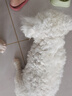 伯纳天纯小型成犬粮泰迪比熊博美天然粮樱桃味狗粮10kg/20斤 实拍图