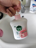 滴露（Dettol）洗手液抑菌消毒滋润500g+500g 补充装儿童家庭护手替换 实拍图
