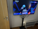 津赢 电视支架落地32-65英寸通用液晶电视机挂架子落地式支架底座稳固免打孔显示器底座 实拍图