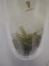 京东京造鲜来多2026新茶信阳毛尖明前特级125g*2 绿茶茶叶自己喝送礼地标 实拍图