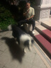 麦富迪狗粮 藻趣儿狗粮成犬粮牛肉螺旋藻 均衡营养15kg/30斤 实拍图